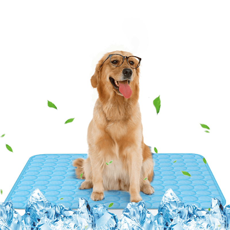 Cool Pad Cushion Dog Cat Puppy Blanket For Summer Sleeping Bed Pet Cooling Mat Cool Pad Cushion Dog Cat Puppy Blanket For Summer Sleeping Bed Pet Cooling Mat